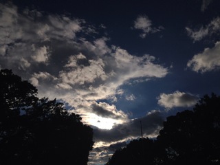 image-c773f.jpg